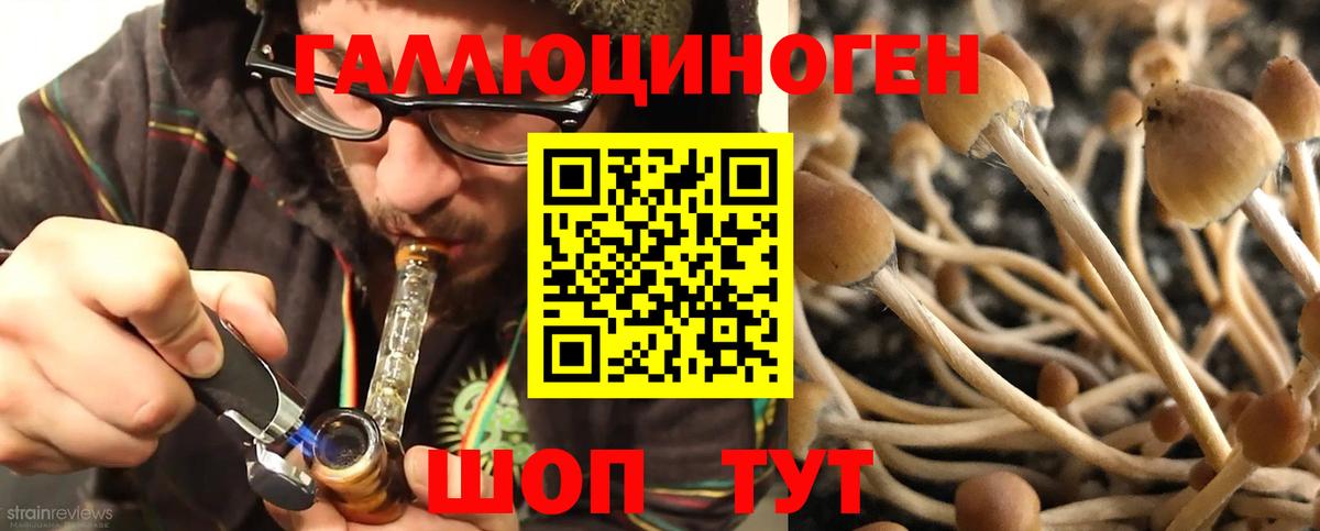 Галлюциногенные грибы ЛСД Соликамск